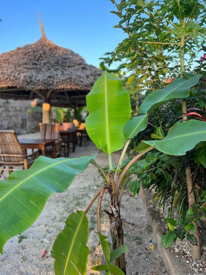 Mbuyuni Lodge Nungwi Luaran gambar